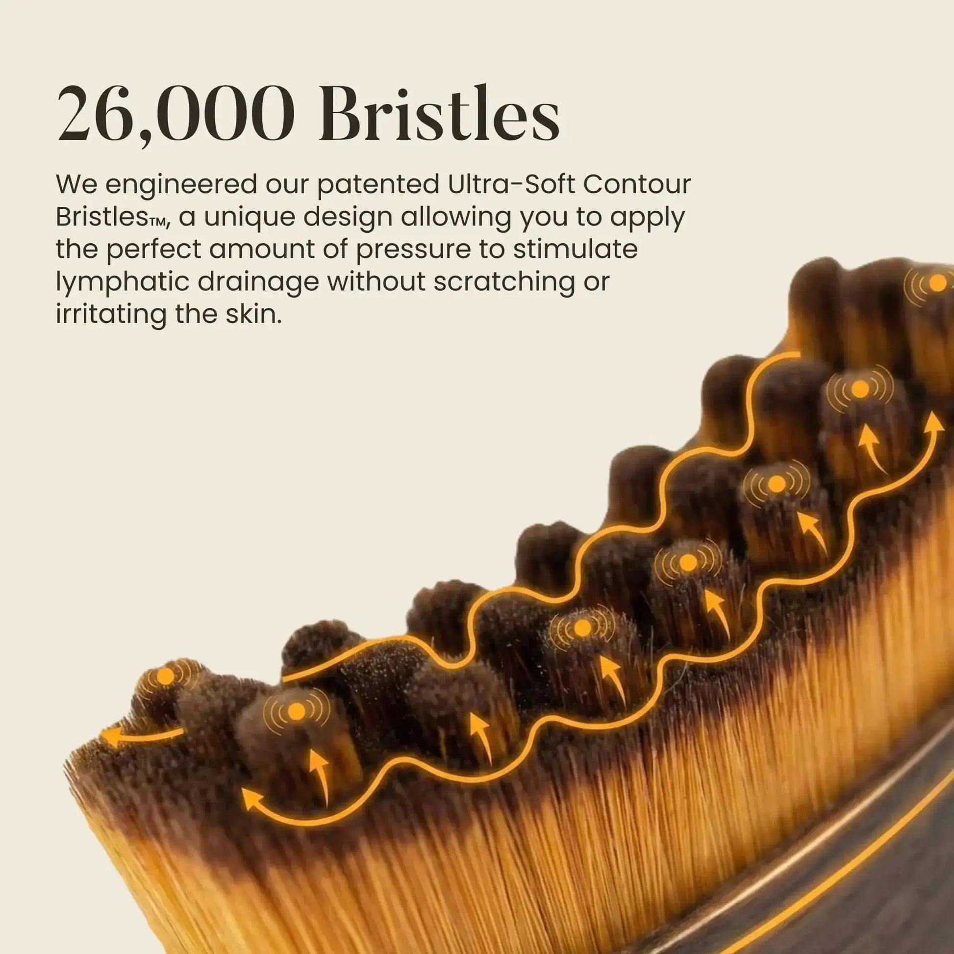 Lymphatic Contour Face Brush Gharbuddy