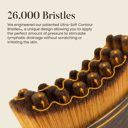 Lymphatic Contour Face Brush Gharbuddy