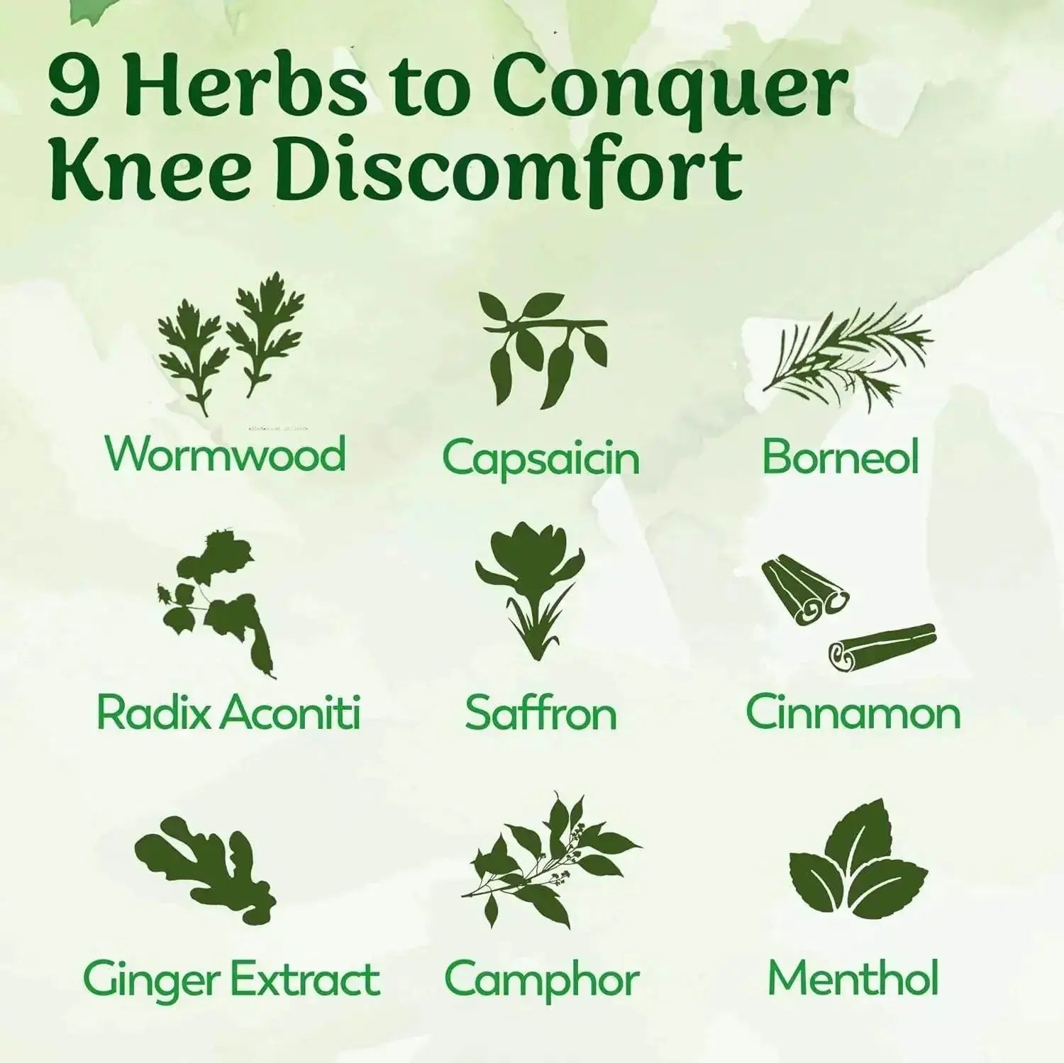 List of herbs to conquer knee discomfort with corresponding images and names on a green background.
